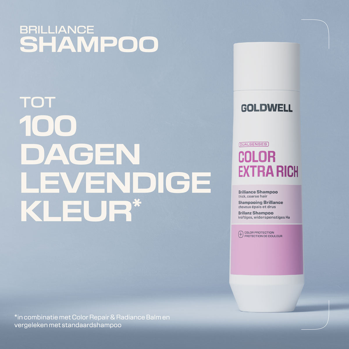 Goldwell Dualsenses Color Extra Rich Brilliance Shampoo
