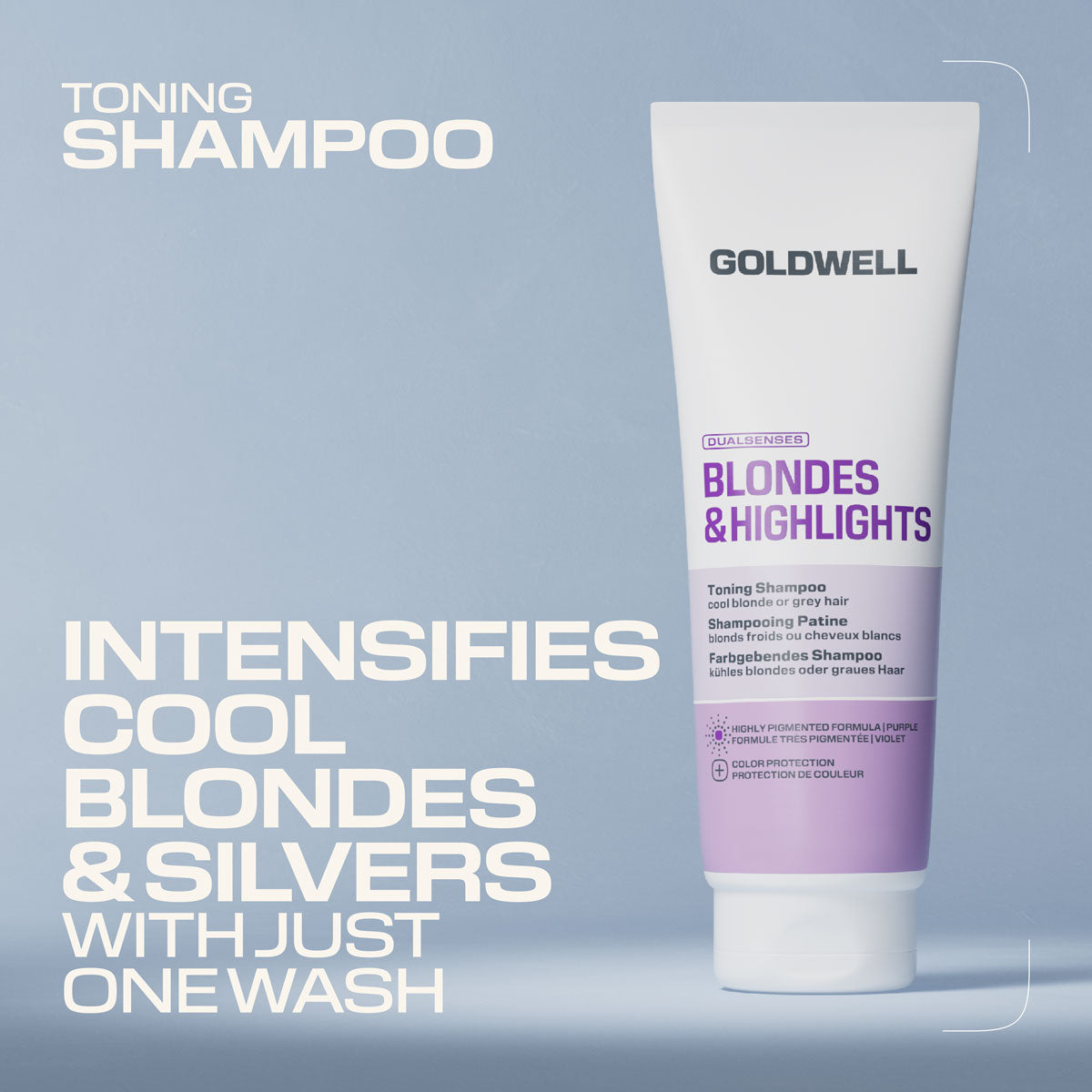 Goldwell Dualsenses Blondes & Highlights Toning Shampoo Purple 250ml