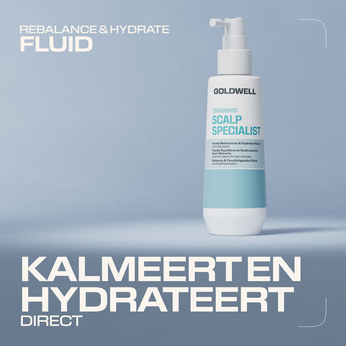 Goldwell Dualsenses Scalp Specialist Rebalance & Hydrate Fluid 150ml