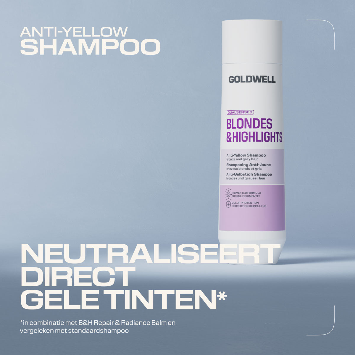 Goldwell Dualsenses Blondes & Highlights Anti-Yellow Shampoo