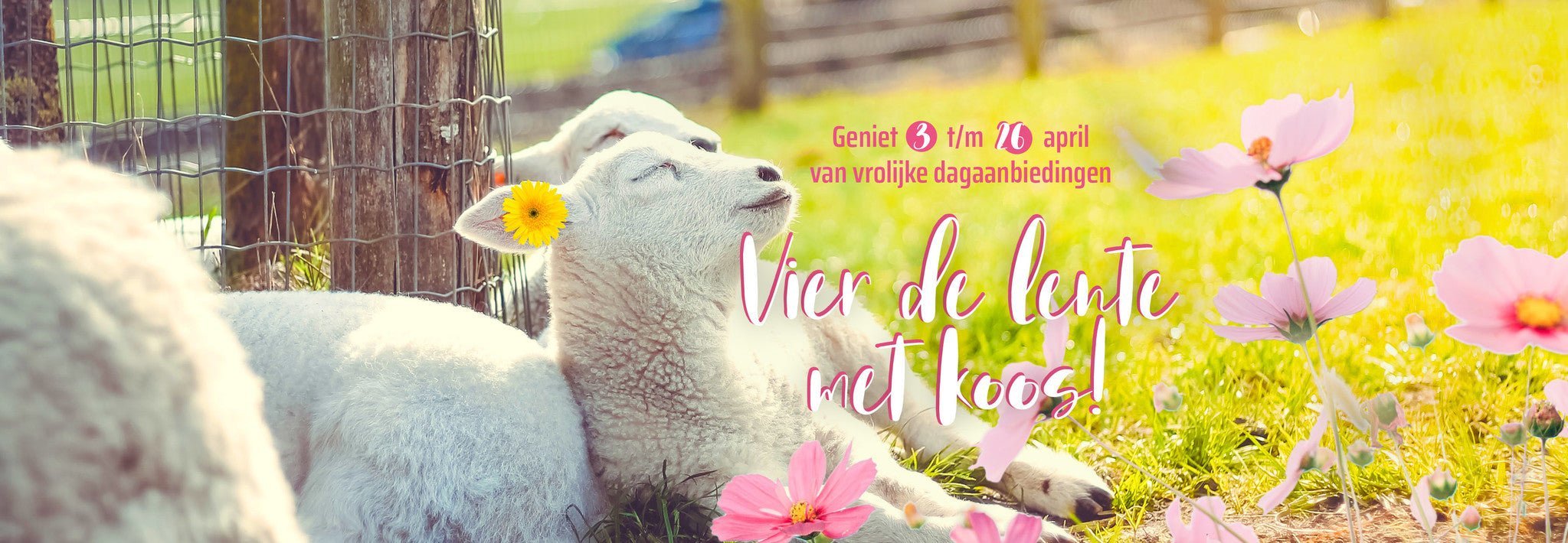 We vieren de lente bij Koos van der Beek! - KOOS • alles voor de kapper