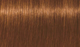 Indola XpressColor Haarverf 60ml - KOOS • alles voor de kapper - Indola - Haarverf