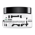 Loreal Tecni.Art Flex Web 150ml - KOOS • alles voor de kapper - Loreal - Wax & pomade